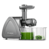 Aobosi Slow Masticating Cold Press Juicer, Quiet Motor, High Yield, Juice Jug & Brush, Gray