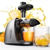 JoyBear Cold Press Juicer Machine: Easy to Clean Slow Masticating Extractor for Veggies and Fruits, Silver