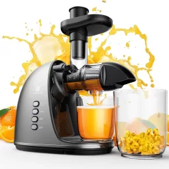 JoyBear Cold Press Juicer Machine: Easy to Clean Slow Masticating Extractor for Veggies and Fruits, Silver
