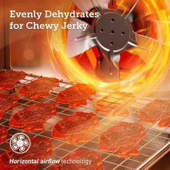 COSORI Food Dehydrator for Jerky, 176°F Temperature Control, 5 Stainless Steel Trays Dryer Machine