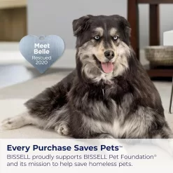 BISSELL 3774F Pet Hair Eraser Turbo Lift-Off Vacuum, w/ Self-Cleaning Brush Roll