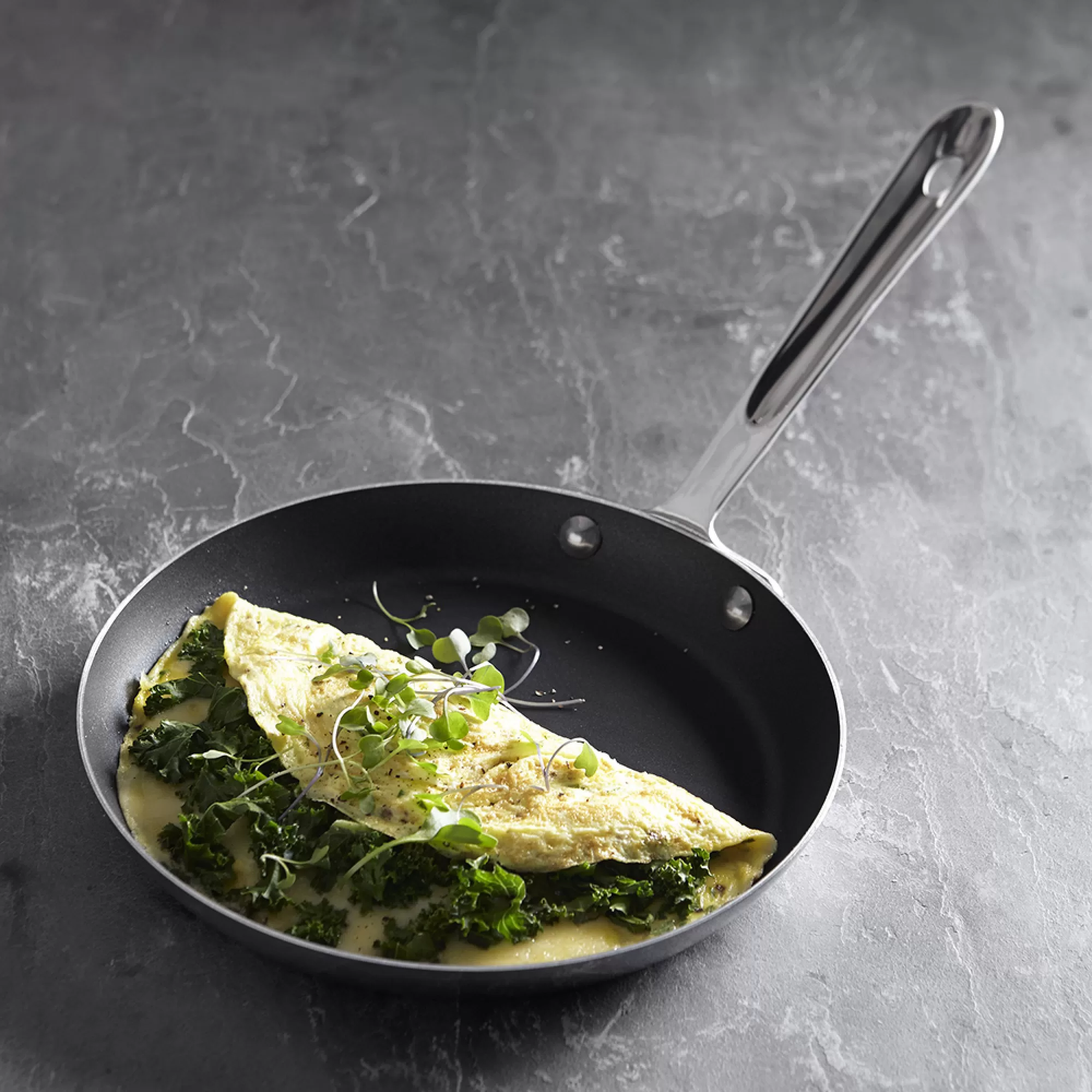 All-Clad d5 Stainless-Steel Nonstick Omelette Pan 9''