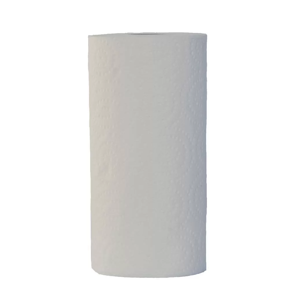 HDX 22015 Select-A-Size Paper Towels (24-Roll)