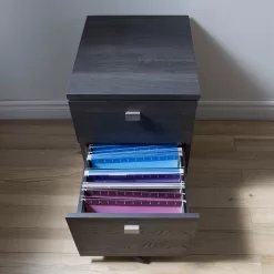 South Shore Furniture Interface Grey Oak 2-Drawer File Cabinet