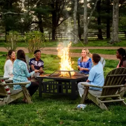 Vineego 32-in W Black Stainless Steel Wood-Burning Fire Pit