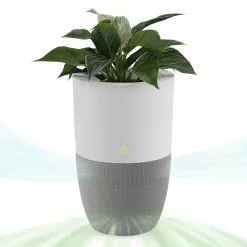 Dupray Bloom 4-Speed White HEPA Air Purifier (Covers: 1517-sq ft)
