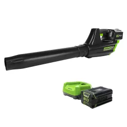 Greenworks 80-volt Max 500-CFM 125-MPH Battery Handheld Leaf Blower 2 Ah (Battery and Charger Included)