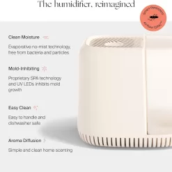 Canopy Bedside Humidifier, White Humidifier, 36 HR Run Time, 2.5L Capacity