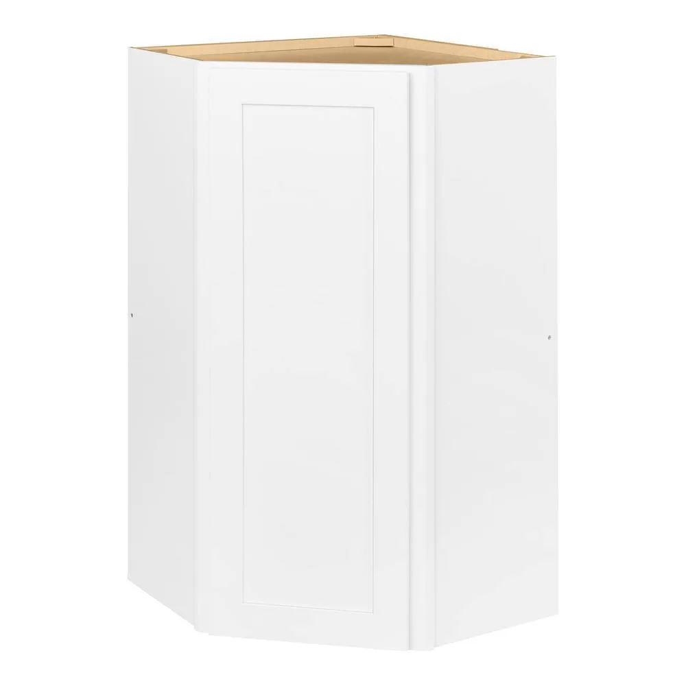 Hampton Bay Avondale 24 in. W x 24 in. D x 42 in. H Ready to Assemble Plywood Shaker Diagonal Corner Kitchen Cabinet in Alpine White