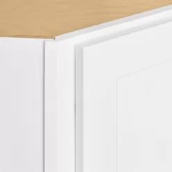Hampton Bay Avondale 24 in. W x 24 in. D x 42 in. H Ready to Assemble Plywood Shaker Diagonal Corner Kitchen Cabinet in Alpine White