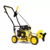 Champion Power Equipment 100731 9 in. 79 cc Gas Powered 4-Stroke Walk Behind Lawn Edger