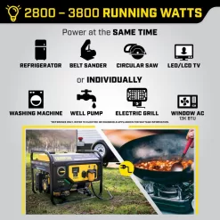 Champion Power Equipment 200970 4550/3650-Watt Gasoline and Propane Powered Dual Fuel Portable Generator with CO Shield