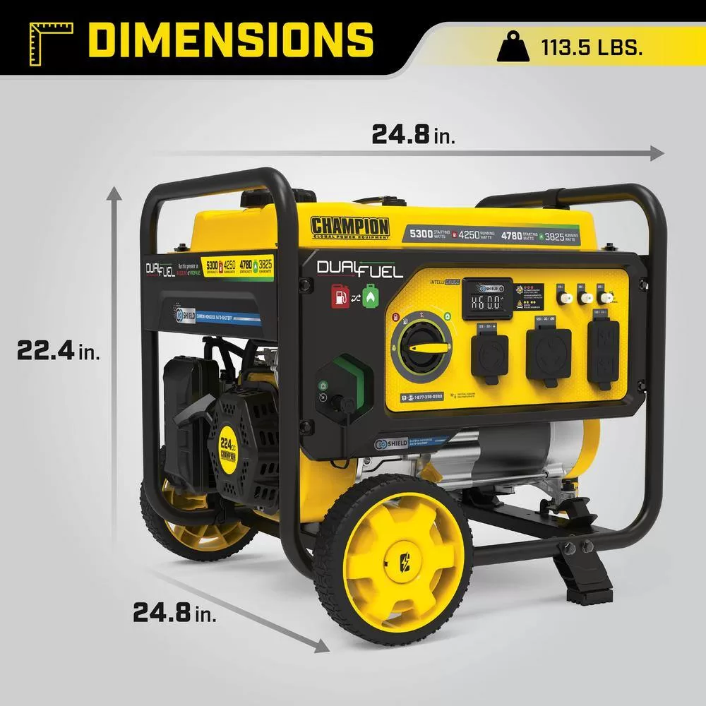 Champion Power Equipment 201279 5300/4250-Watt Gasoline and Propane Powered Dual Fuel Portable Generator with CO Shield