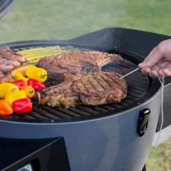 Char-Griller 6480 Akorn Auto-Kamado 20-inch Digital WiFi Charcoal Grill in Gray