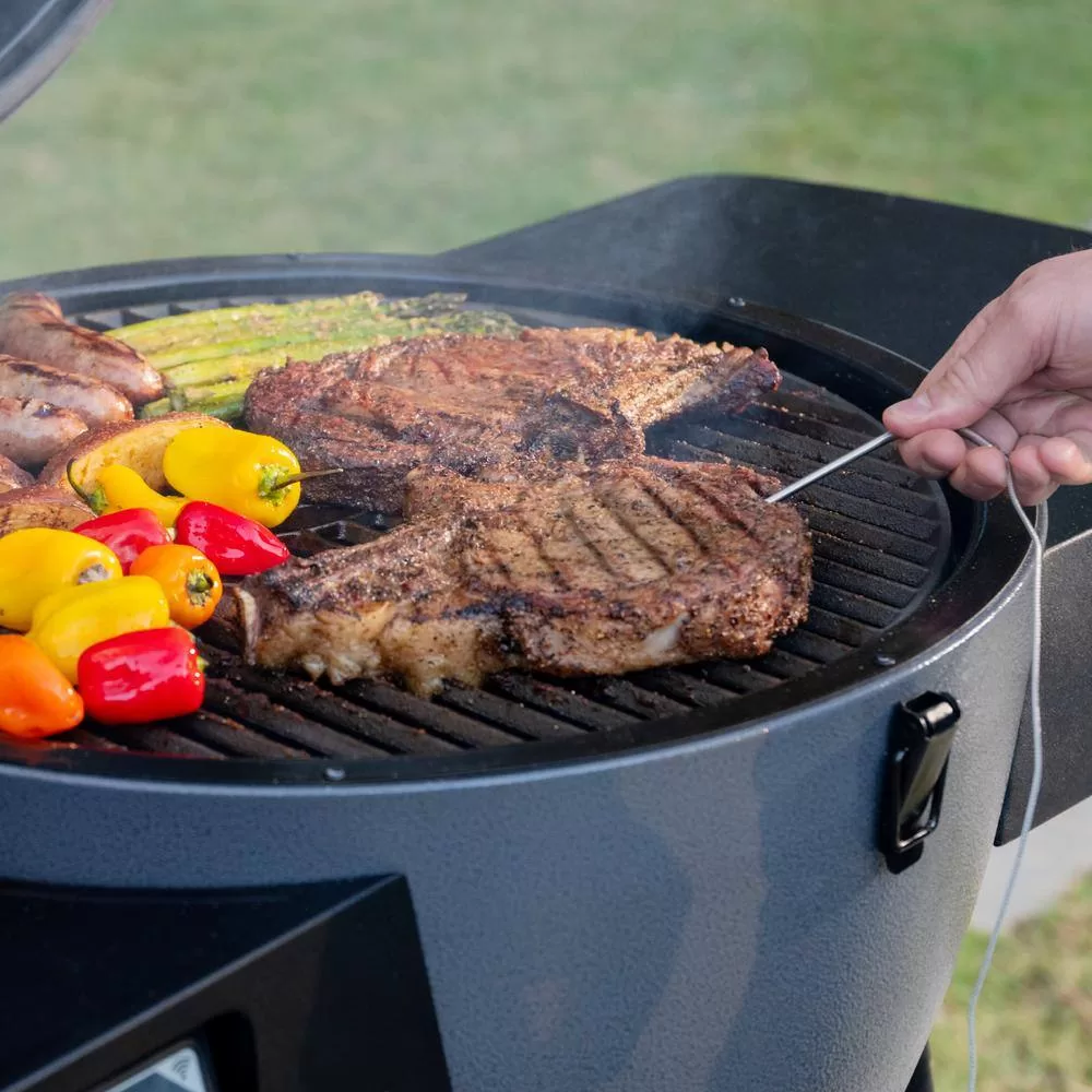 Char-Griller 6480 Akorn Auto-Kamado 20-inch Digital WiFi Charcoal Grill in Gray