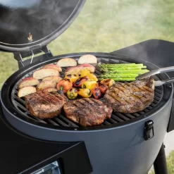 Char-Griller 6480 Akorn Auto-Kamado 20-inch Digital WiFi Charcoal Grill in Gray