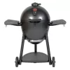 Char-Griller E16620 Akorn 20-inch Kamado Charcoal Grill in Black