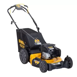 DEWALT 12AVP2R3739 21 in. 163cc Briggs and Stratton 725Exi Engine Rear Wheel Drive 3-in-1 Gas Self Propelled Walk Behind Lawn Mower
