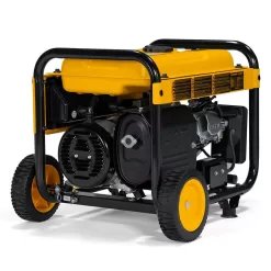 DEWALT DXGNR4000 4000-Watt Manual Start Gas-Powered Portable Generator with Premium Engine, Covered Outlets and CO Protect