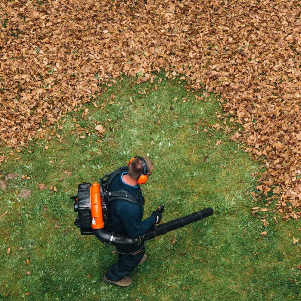 ECHO PB-760LNT 214 MPH 535 CFM 63.3 cc Gas 2-Stroke Low Noise Backpack Leaf Blower with Tube Throttle