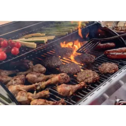 Nexgrill 300-0059 5-Burner Propane Gas Grill in Stainless Steel with Side Burner and Condiment Rack with Cover