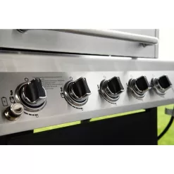Nexgrill 300-0059 5-Burner Propane Gas Grill in Stainless Steel with Side Burner and Condiment Rack with Cover