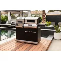 Nexgrill 720-1055 Neevo 720 Plus Propane Gas Digital Smart Grill in Black with Air Fryer Oven