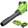 Greenworks 40V (160 MPH / 700 CFM / 75+ Compatible Tools) Cordless Brushless Axial Leaf Blower, 8.0Ah Battery and Charger Included