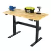 FLEXIMOUNTS Electric Height Adjustable Work Bench with Memory Keypad 47x24 Inches