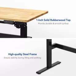 FLEXIMOUNTS Electric Height Adjustable Work Bench with Memory Keypad 47x24 Inches