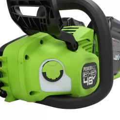 Greenworks 48V (2 x 24V) 16" Brushless Cordless Chainsaw (Great For Tree Felling, Limbing, Pruning, and Firewood / 125+ Compatible Tools)
