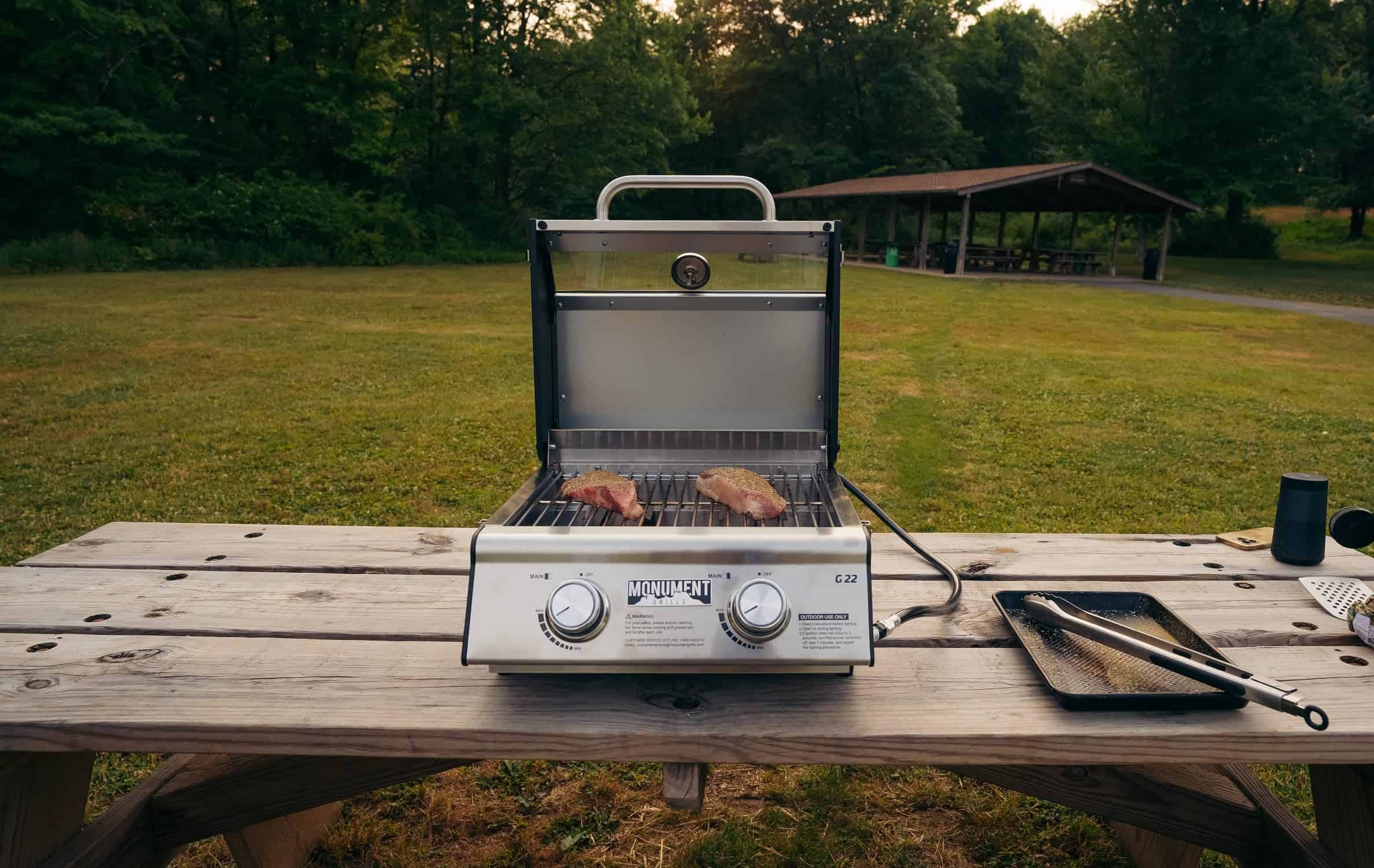 Monument Grills, Clearview 2 - Burner Portable Stainless Liquid Propane 15000 BTU Gas Grill