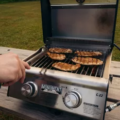 Monument Grills, Clearview 2 - Burner Portable Stainless Liquid Propane 15000 BTU Gas Grill
