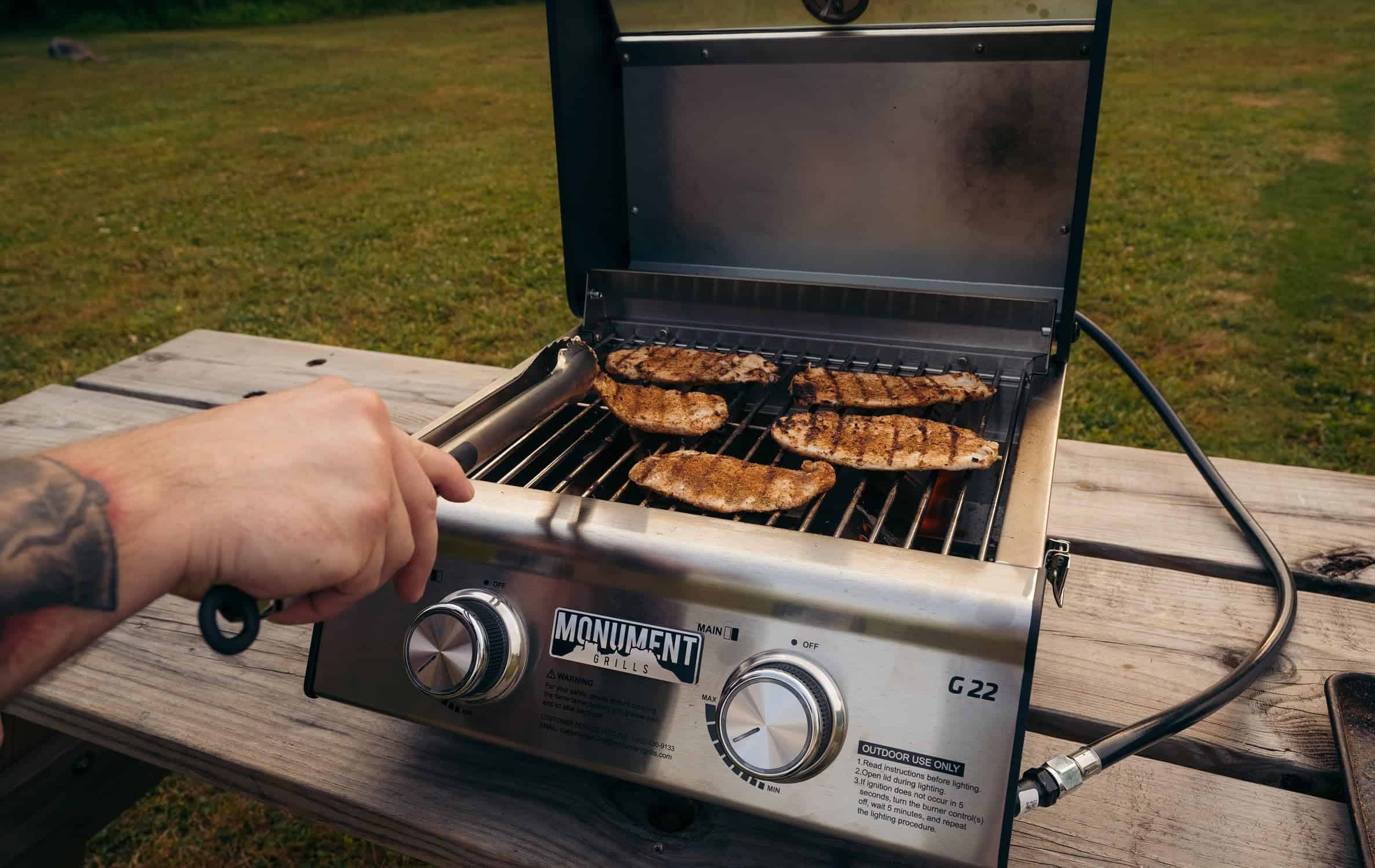 Monument Grills, Clearview 2 - Burner Portable Stainless Liquid Propane 15000 BTU Gas Grill