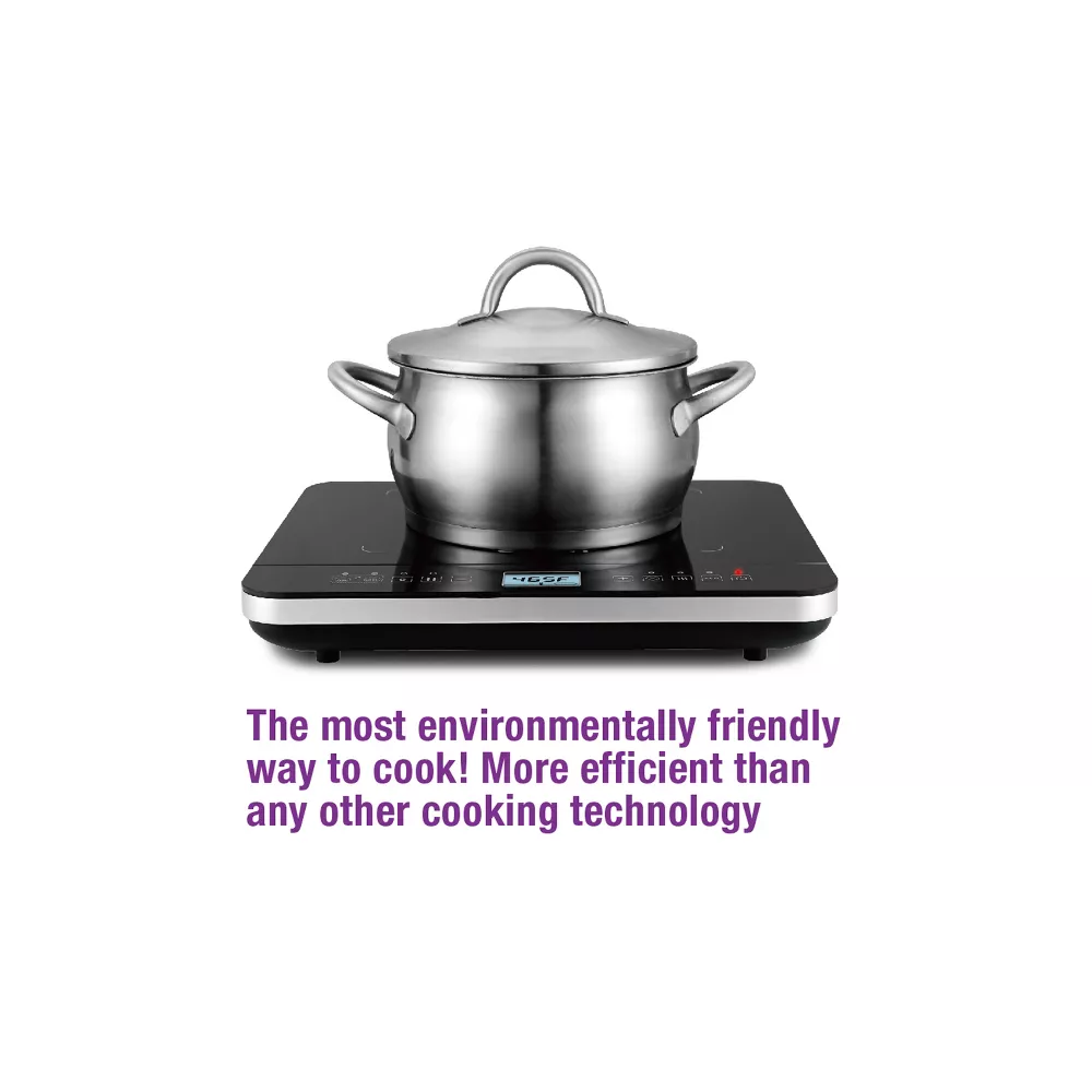 Salton Induction Cooktop with Temperature Probe Black