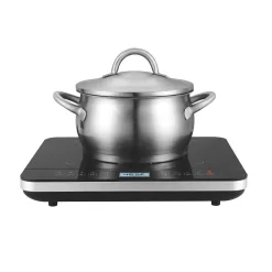 Salton Induction Cooktop with Temperature Probe Black