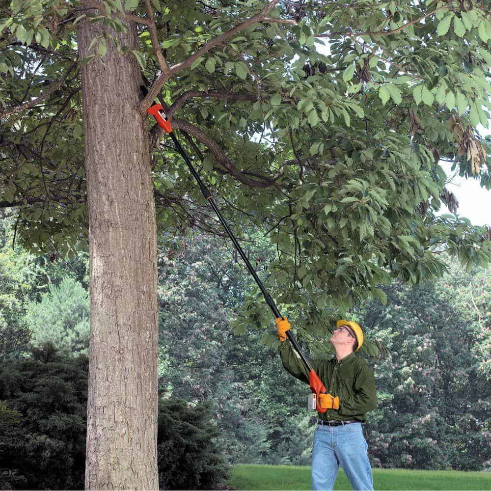 BLACK+DECKER LPP120B 20V MAX 8in. Cordless Battery Powered Pole Saw, Tool Only