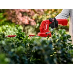 Homelite HOMHT10 12V Lithium Cordless Battery Grass Shear and Shrubber Trimmer with Internal 2.5 Ah Battery and Charger