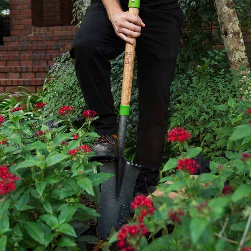 Ames 2531700 16 in. D-Handle Drain Spade