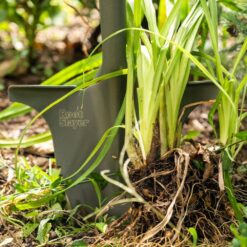 Radius Garden 22311-21 31 in. Fiberglass Handle 40 in. Root Slayer Carbon Steel Nomad Shovel