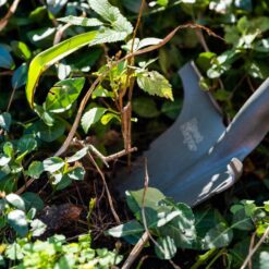 Radius Garden 22311-21 31 in. Fiberglass Handle 40 in. Root Slayer Carbon Steel Nomad Shovel