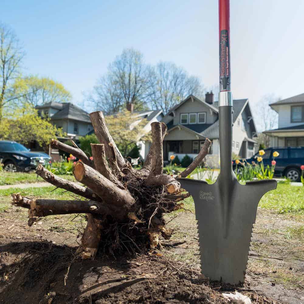 Radius Garden 22511-21 44.5 in. Fiberglass Handle 57.5 in. Root Slayer Carbon Steel XL Shovel