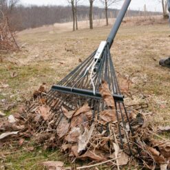 Razor-Back 10000-03684 51 in. Fiberglass Handle 24-Tine Steel Rake (Pack of 2)
