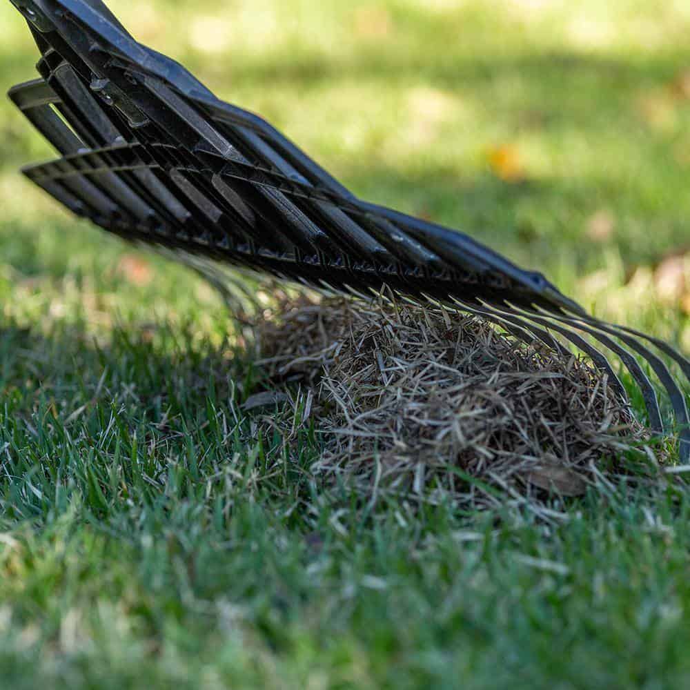 Razor-Back 2000RB 20-Tine Multi-Purpose Lawn Rake