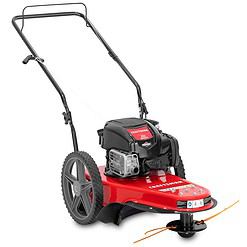 CRAFTSMAN ST150B 163-cc 2-cycle 22-in Curved Shaft Gas String Trimmer
