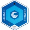 Connelly Prism Towable Inflatable Lake Tube Raft