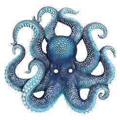 Design Toscano Deadly Blue Octopus of the Coral Reef Wall Sculpture, 3.00