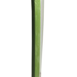 Bo-Toys Body Board Lightweight with EPS Core (GREEN, 41-INCH)