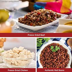 4Patriots Meat & Protein Survival Kit, Emergency Food Supply, Freeze-Dried Meat, Hearty Beans,  85 Servings of Vital Nutrition