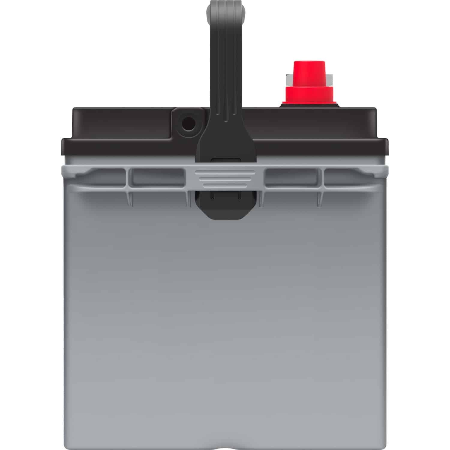 EverStart Platinum BOXED AGM Marine and RV Deep Cycle Battery Group Size 24M, 12 Volt 875 MCA